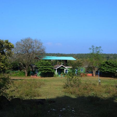 Aarraams Farms & Resorts 마시나구디 외부 사진