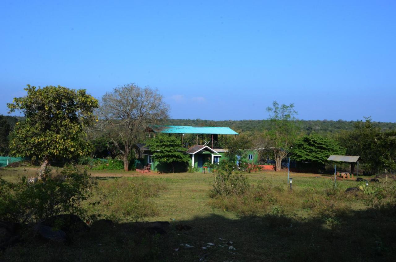 Aarraams Farms & Resorts 마시나구디 외부 사진